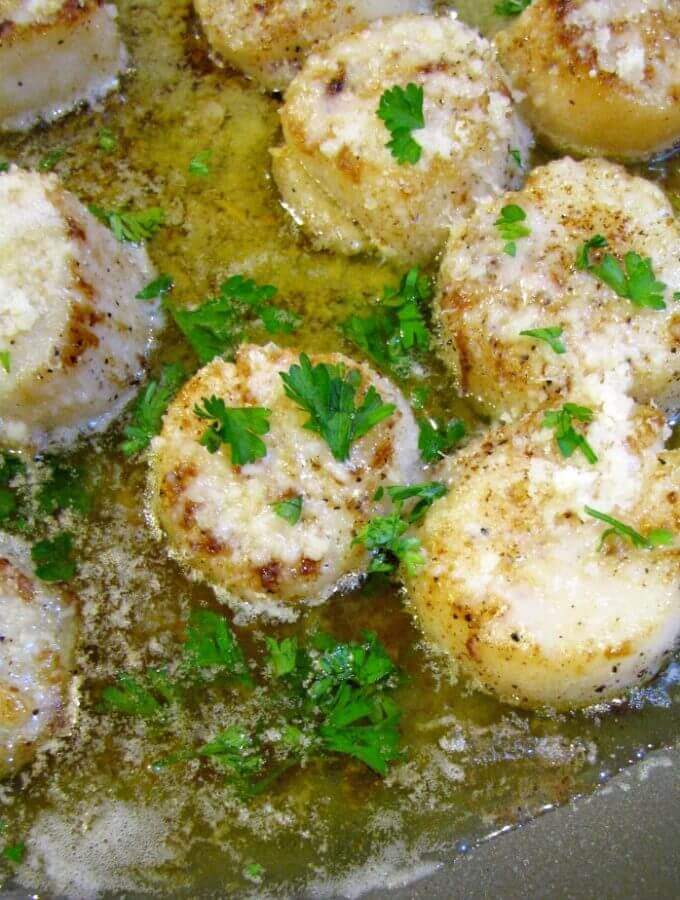 Melt in your mouth Browned Butter Garlic Parmesan Scallops, quick to make, fancy enough for a special occasion yet simple enough for a weeknight dinner.