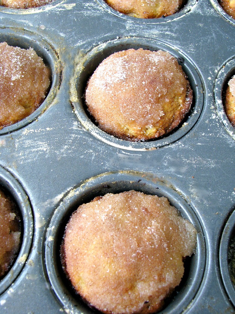 Sweet Cinnamon Sugar Apple Muffins, apple muffins topped with a cinnamon sugar glaze, are perfect for breakfast, brunch, or as a mid-day snack.