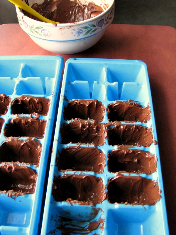 Chocolate Brushed Ice Cube Tray Holes