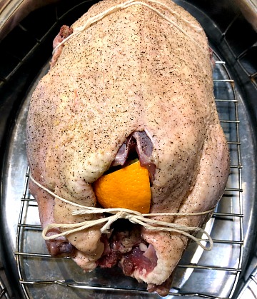 Photo of a raw whole duck stuffed with orange slices and garlic with the legs tied in a roasted pan